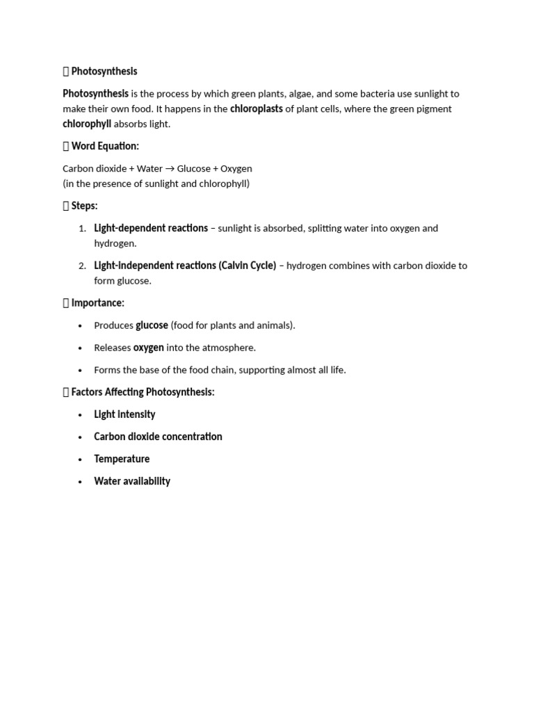 Photosynthesis Process Explained | PDF