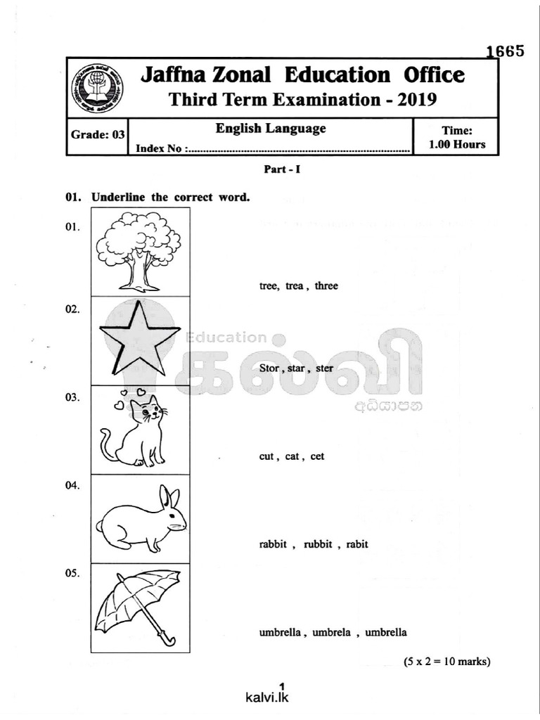 English Papper | PDF