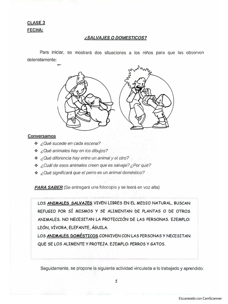 Secuencia CS. Nat - Animales - 5 | PDF