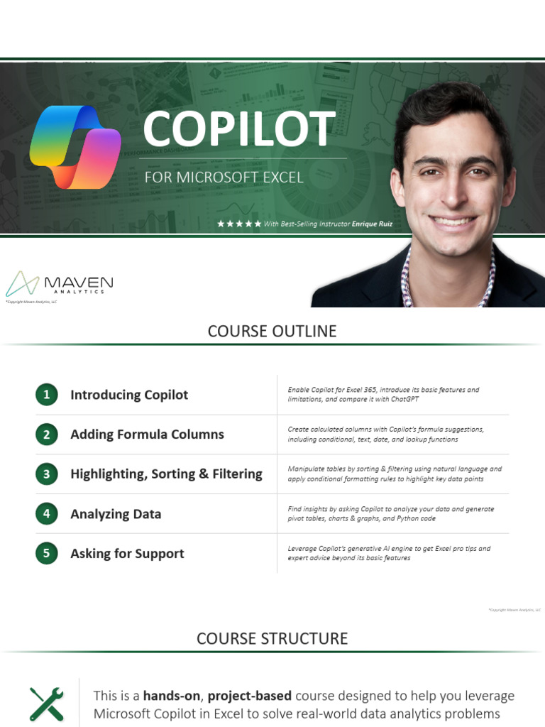 Excel Statistics with Copilot Guide | PDF | Microsoft Excel | Spreadsheet