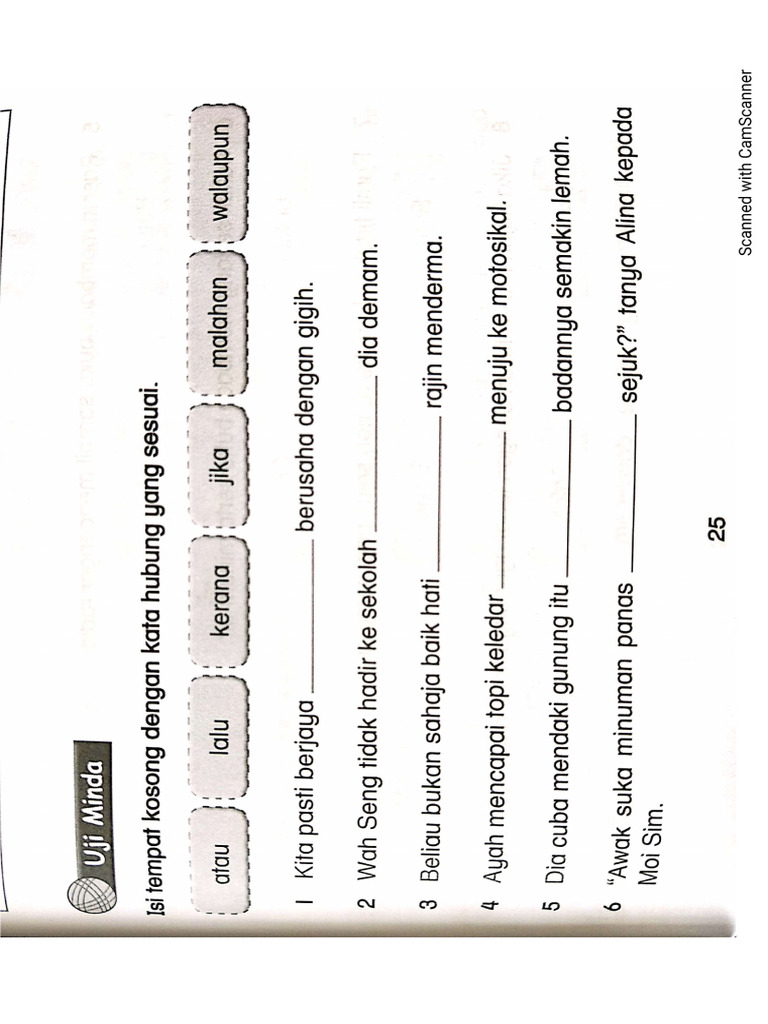 BM Exercise | PDF