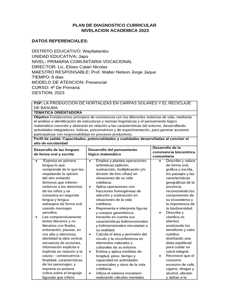 Plan de Diagnóstico Curricular 2023 | PDF | Escritura | Pensamiento