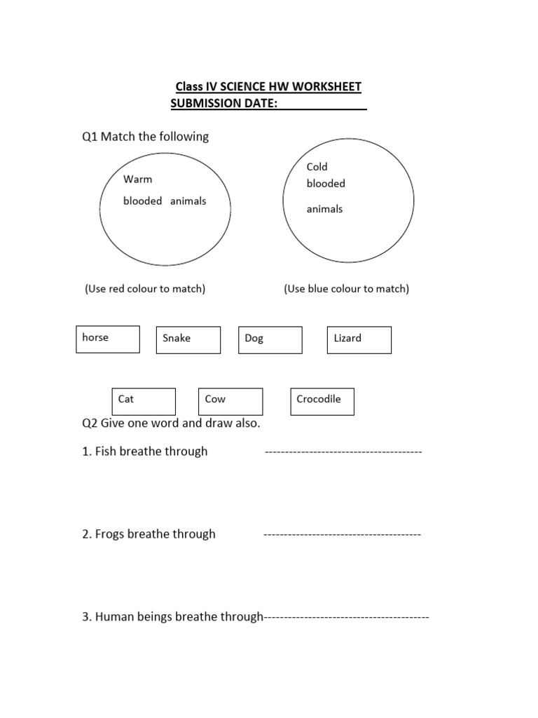 Class IV Science Worksheet on Breathing | PDF