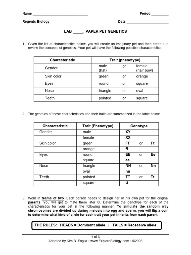 Paper Pet Genetics Lab Activity | PDF | Genotype | Dominance (Genetics)