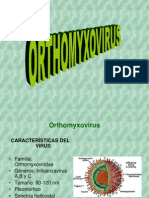 Orto y Paramyxovirus