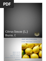 Download Citrus limon by Bang Doell SN91093474 doc pdf