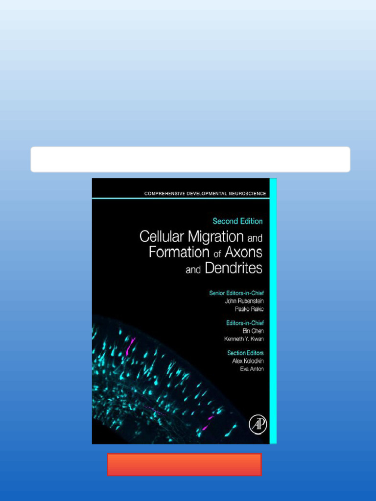 Cellular Migration and Formation of Axons and Dendrites: Comprehensive ...