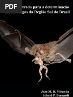 Chave_morcegos_Sul_BR_2011