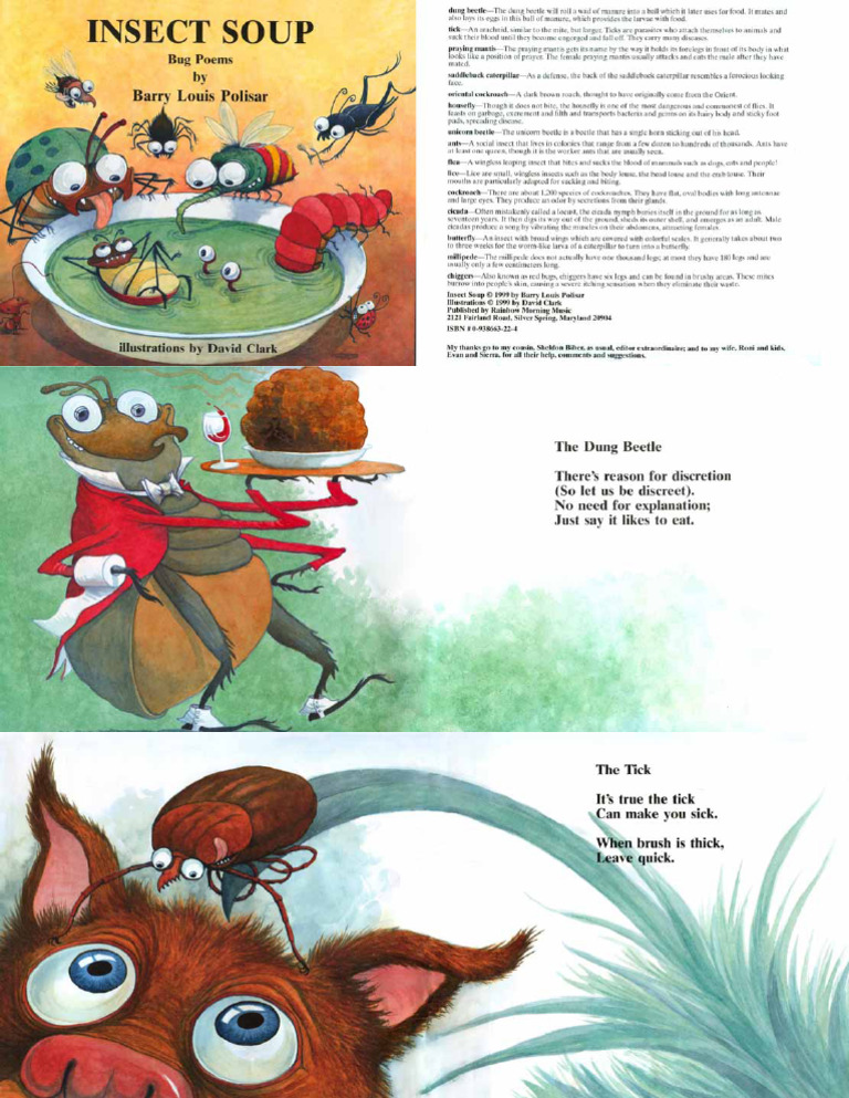 Insect Soup | PDF