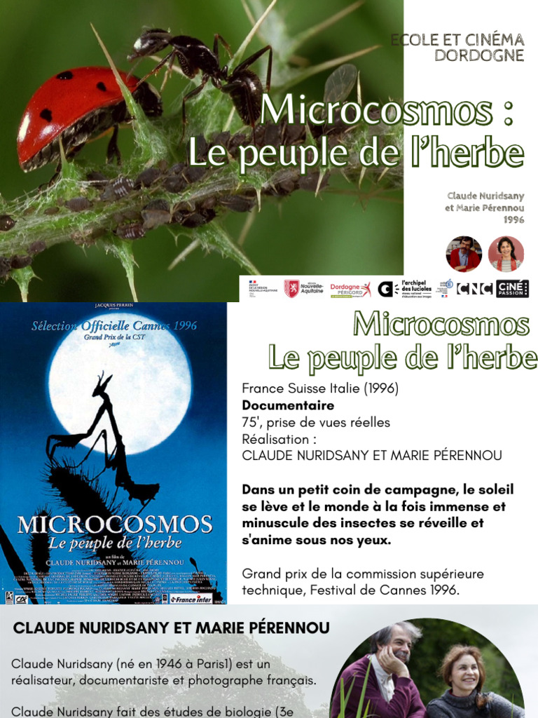 Microcosmos : Voyage au cœur des insectes | PDF