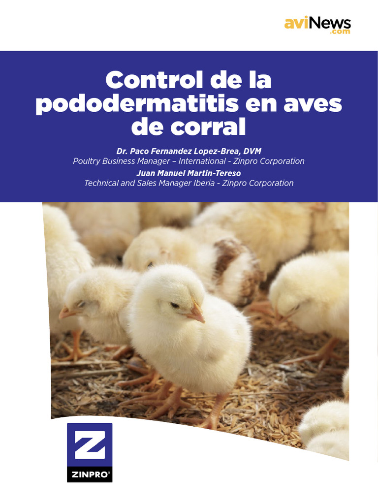 Control de Pododermatitis en Aves de Corral | PDF | Amoníaco | Aves
