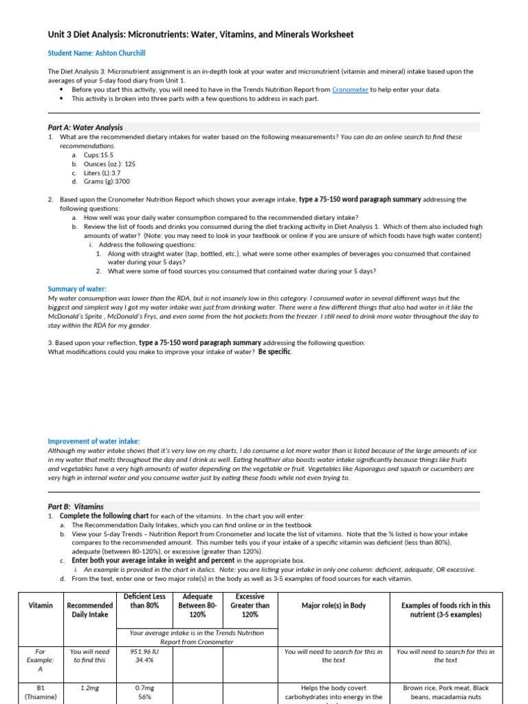 Micronutrient Diet Analysis Worksheet | PDF | Vitamin | Vitamin B12