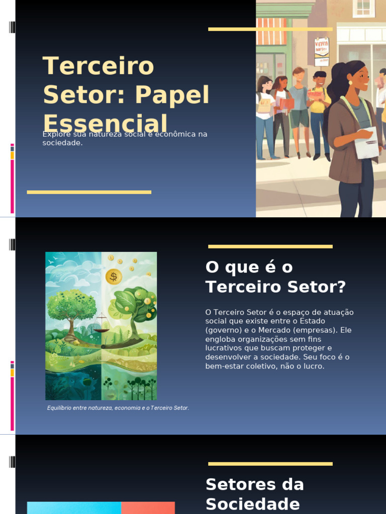 O Papel do Terceiro Setor na Sociedade | PDF | Organização não ...