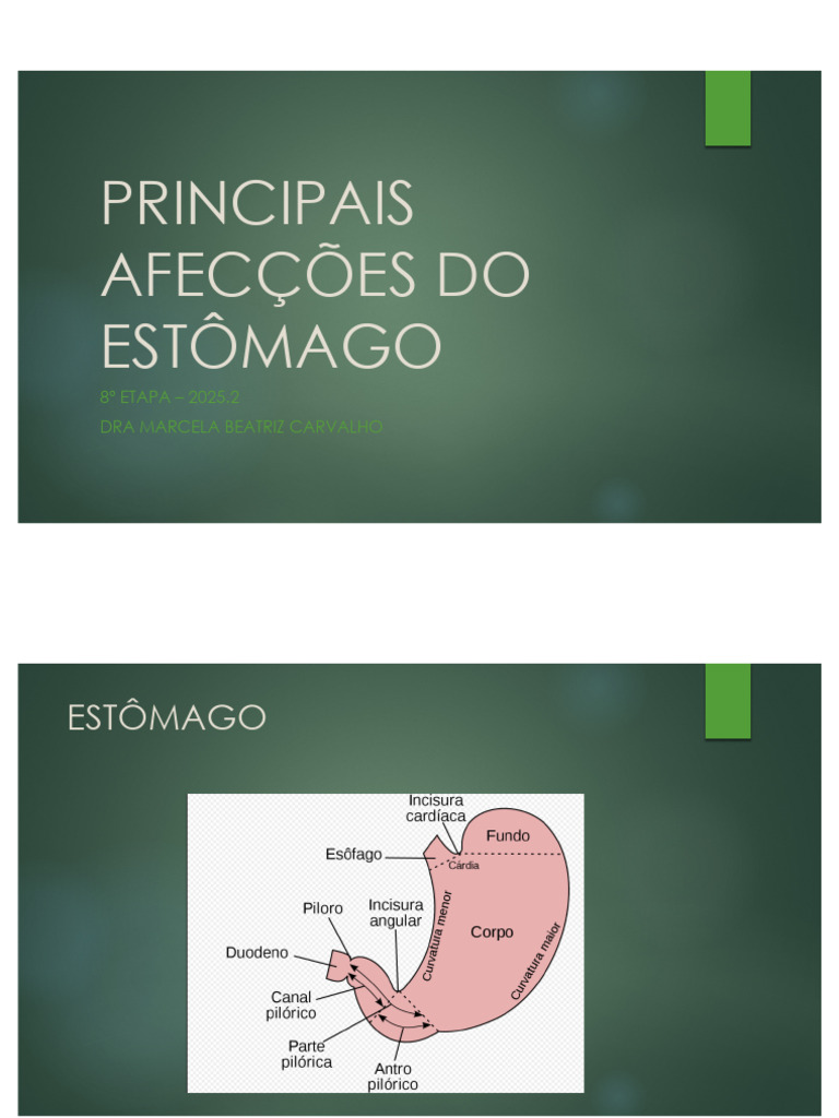Principais Doenças do Estômago e Tratamentos | PDF | Doenças e ...