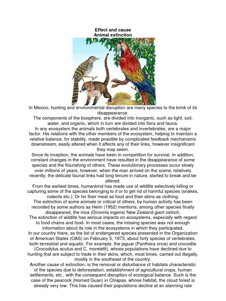 cause and effect of animal extinction essay