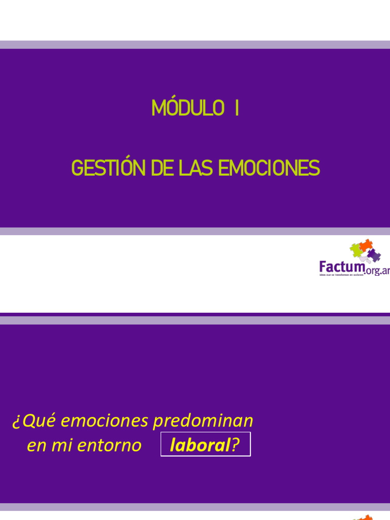Asesoría Emocional en el Trabajo | PDF | Las emociones | Estrés (biología)