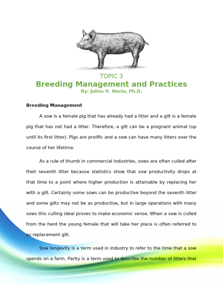 Managing Sow Breeding and Health | PDF | Pig | Inbreeding