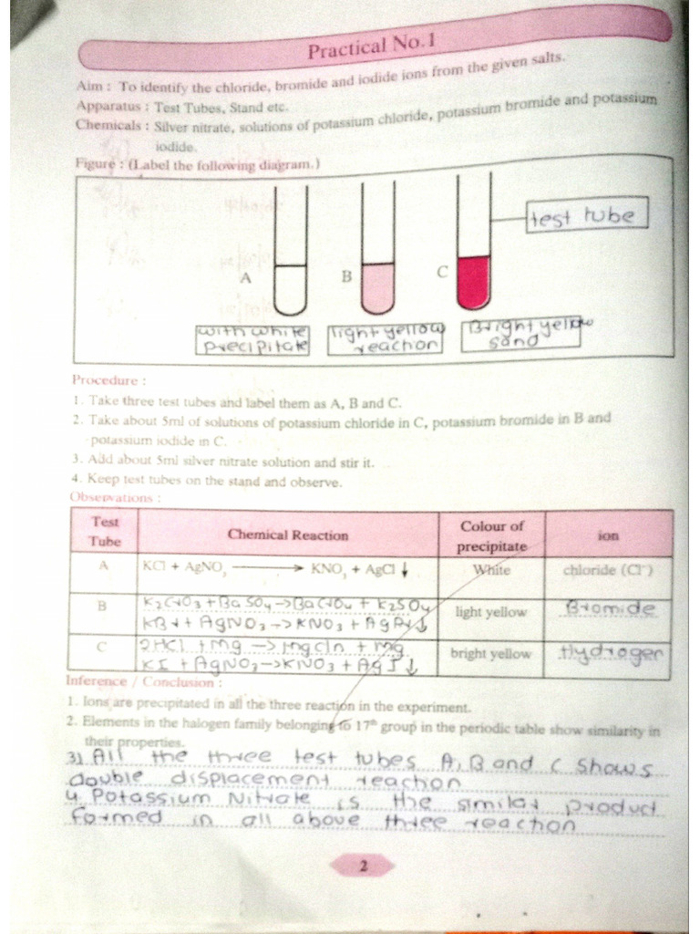 Science 1 Practical Notes | PDF