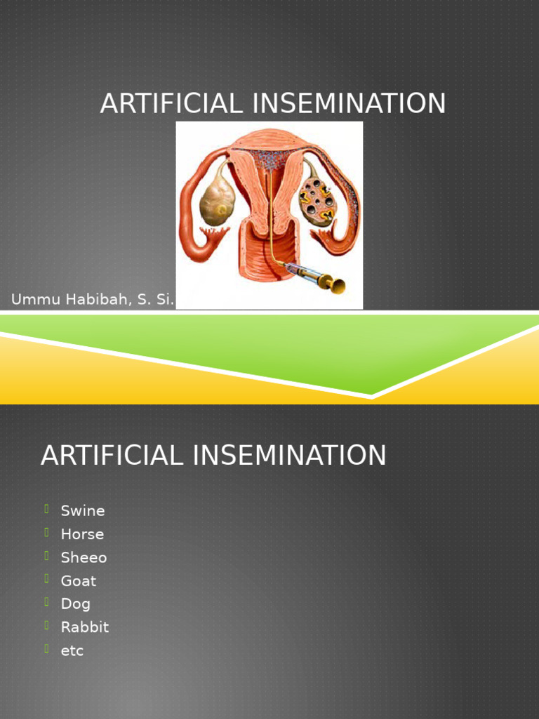 Overview of Intrauterine Insemination | PDF