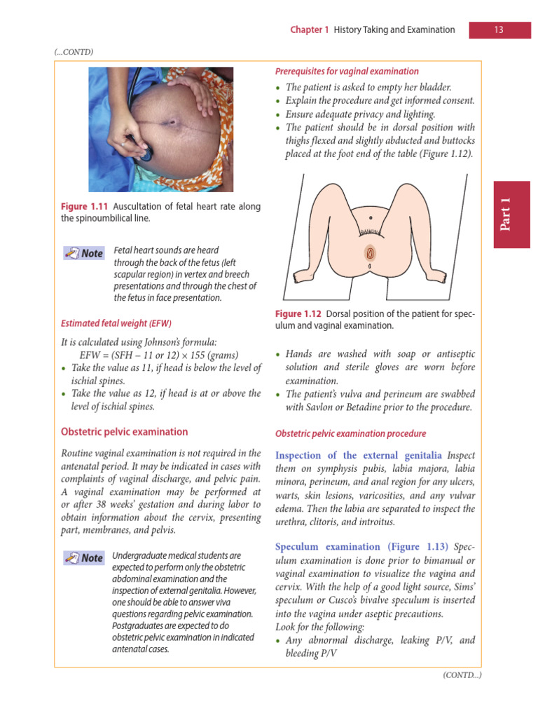 pediatric-pelvic-examination-guidelines-pdf-vagina-pelvis