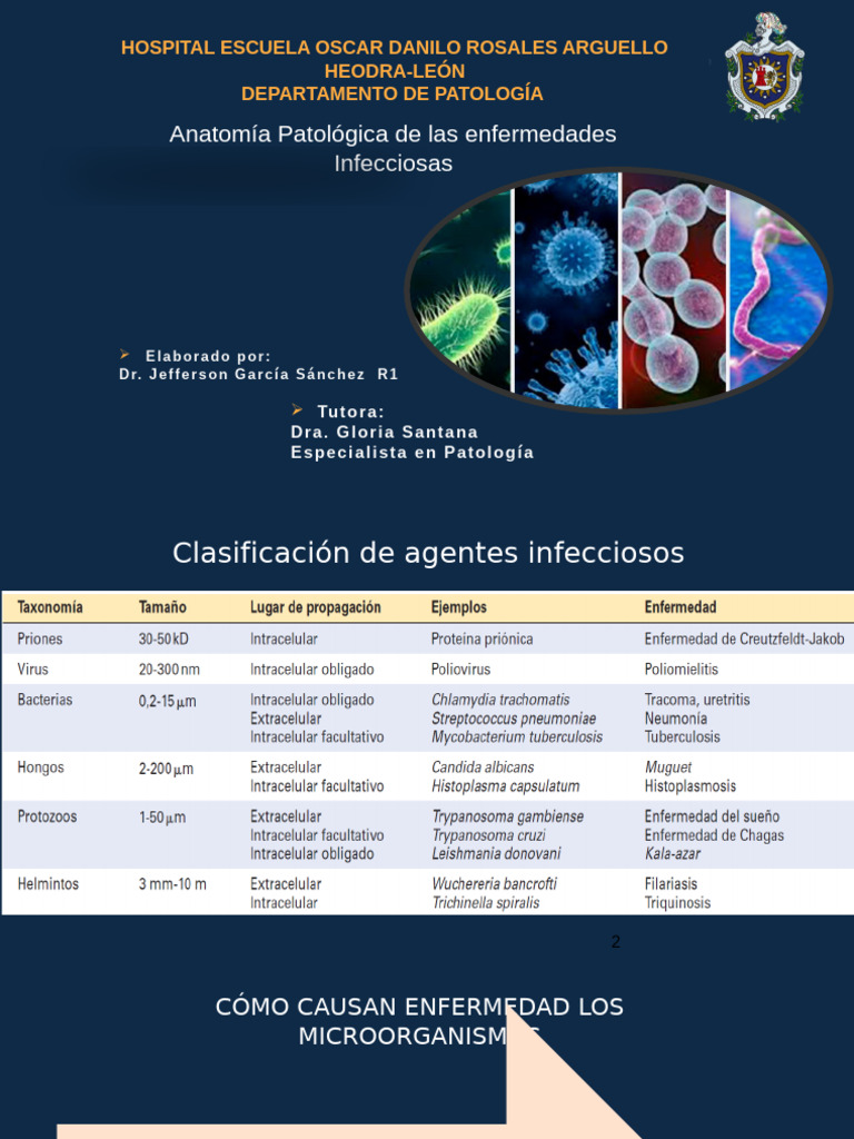 Anatomía Patológica de Infecciones | PDF | Inflamación | Infección