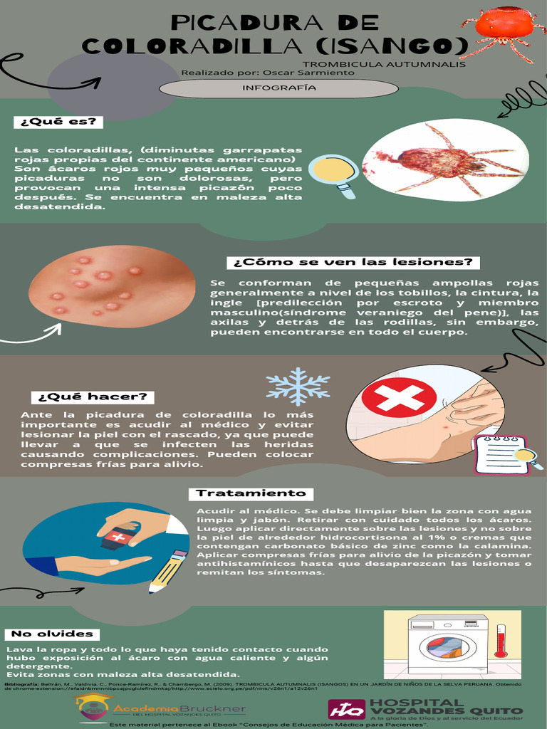 Infografía Coloradilla | PDF | Enfermedades y trastornos humanos ...