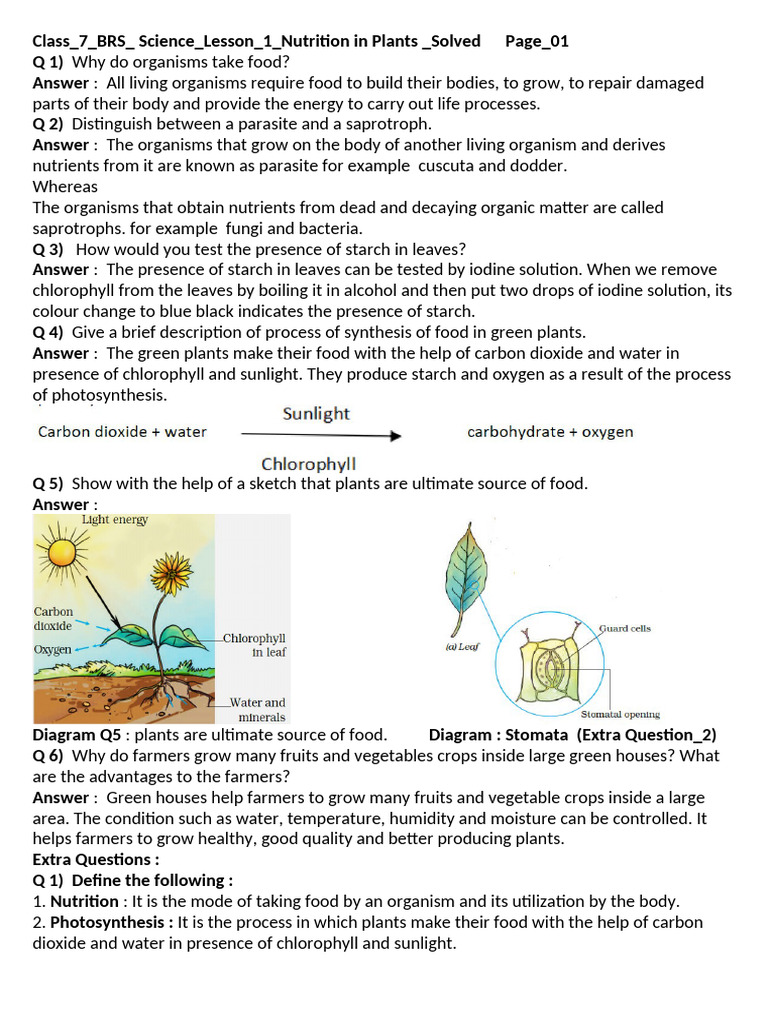 Class 7 Science Chapter 01 Nutrition in Plants Solved | PDF | Plants ...