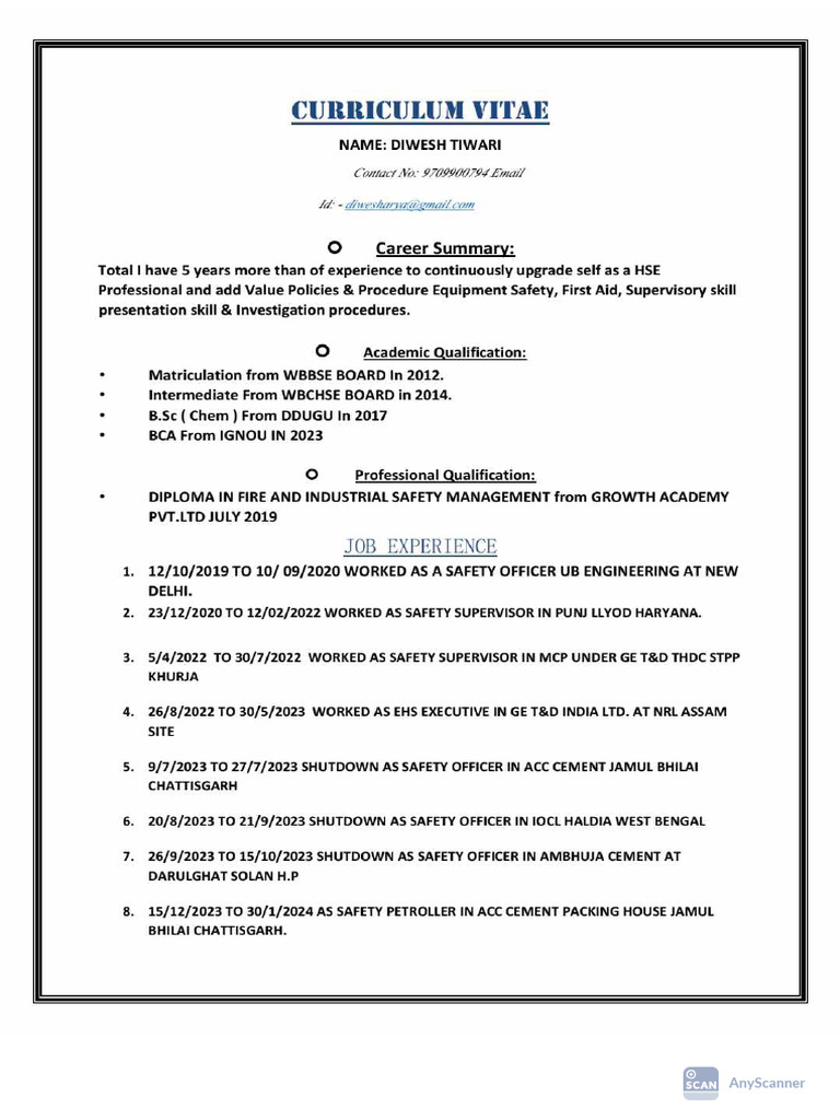 Updated CV | PDF