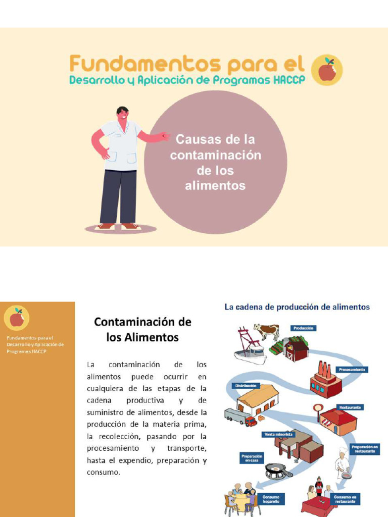 Causas de La Contaminación de Alimentos | PDF