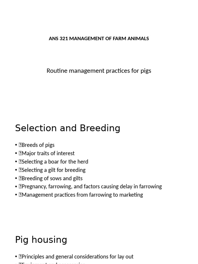 Routine Management Practices For Pigs | PDF
