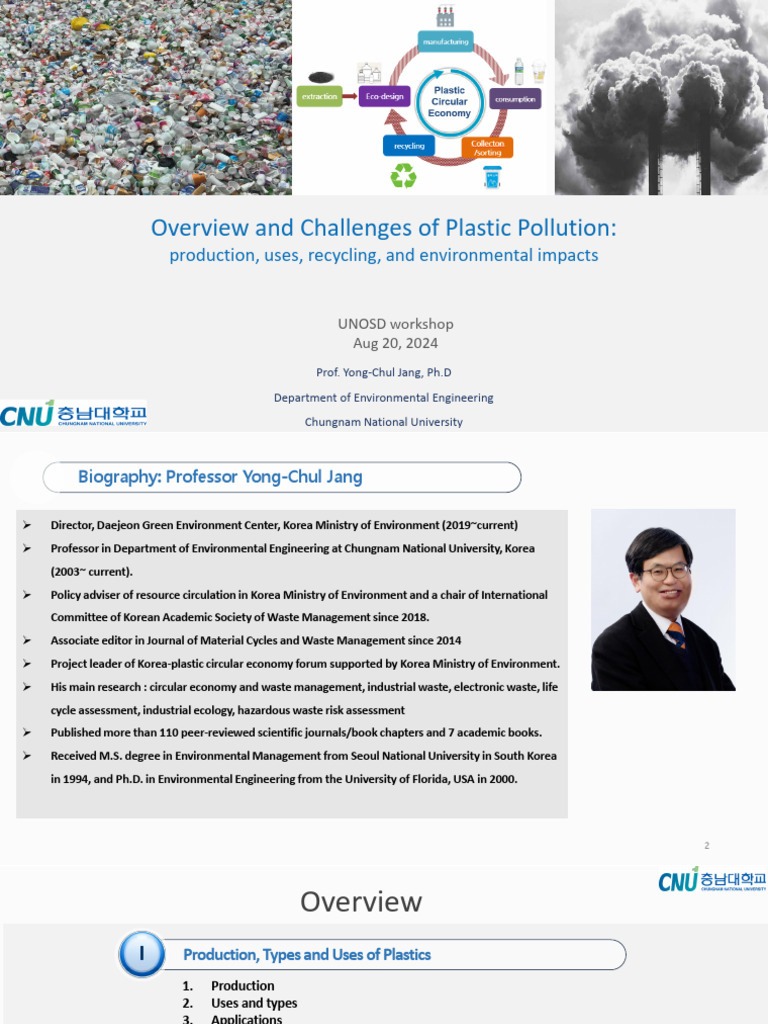 Plastic Pollution: Challenges and Solutions | PDF | Plastic | Recycling