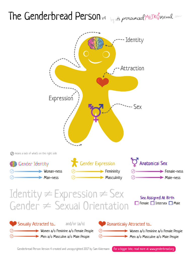 Genderbread Person v4 Overview | PDF