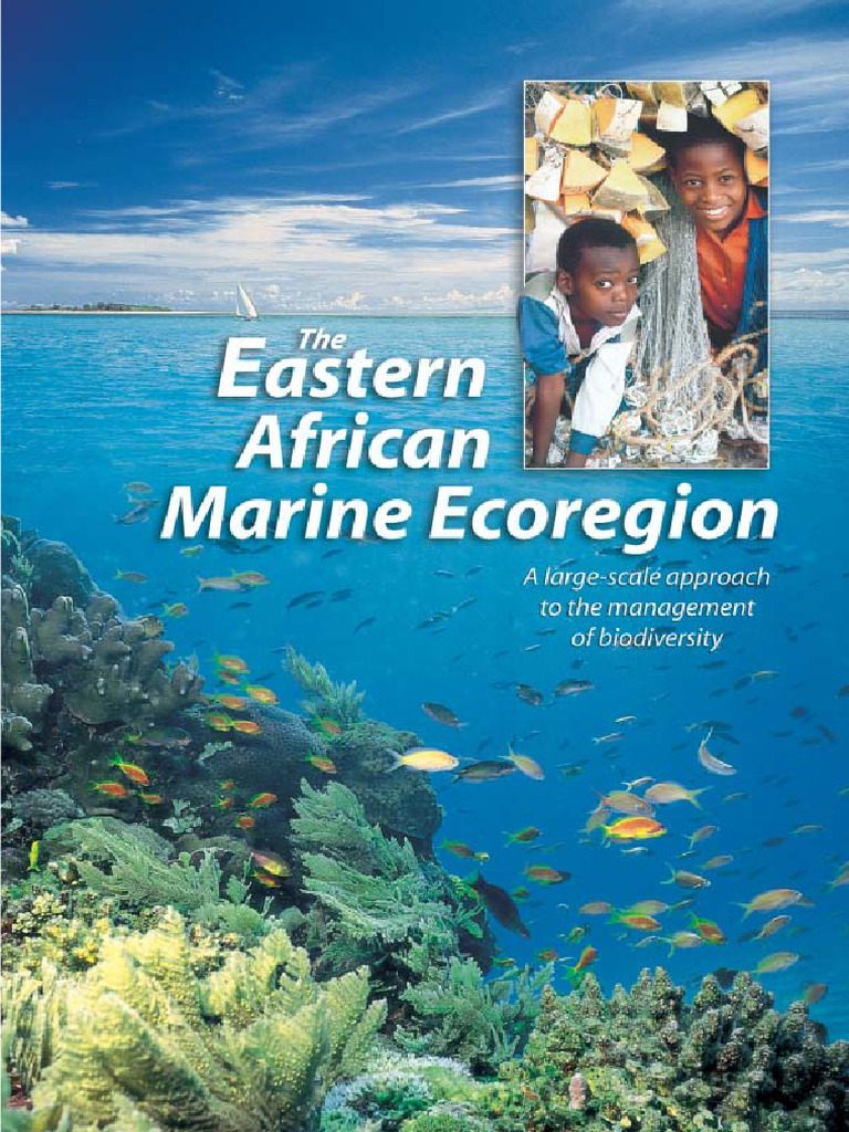 Eastern African Marine Ecoregion Overview | PDF | Coast | Coral Reef