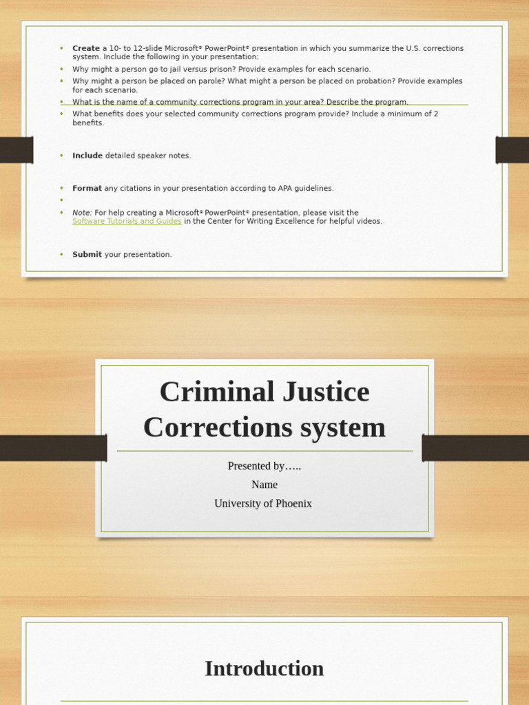 Overview of U.S. Corrections System | PDF | Prison | Probation