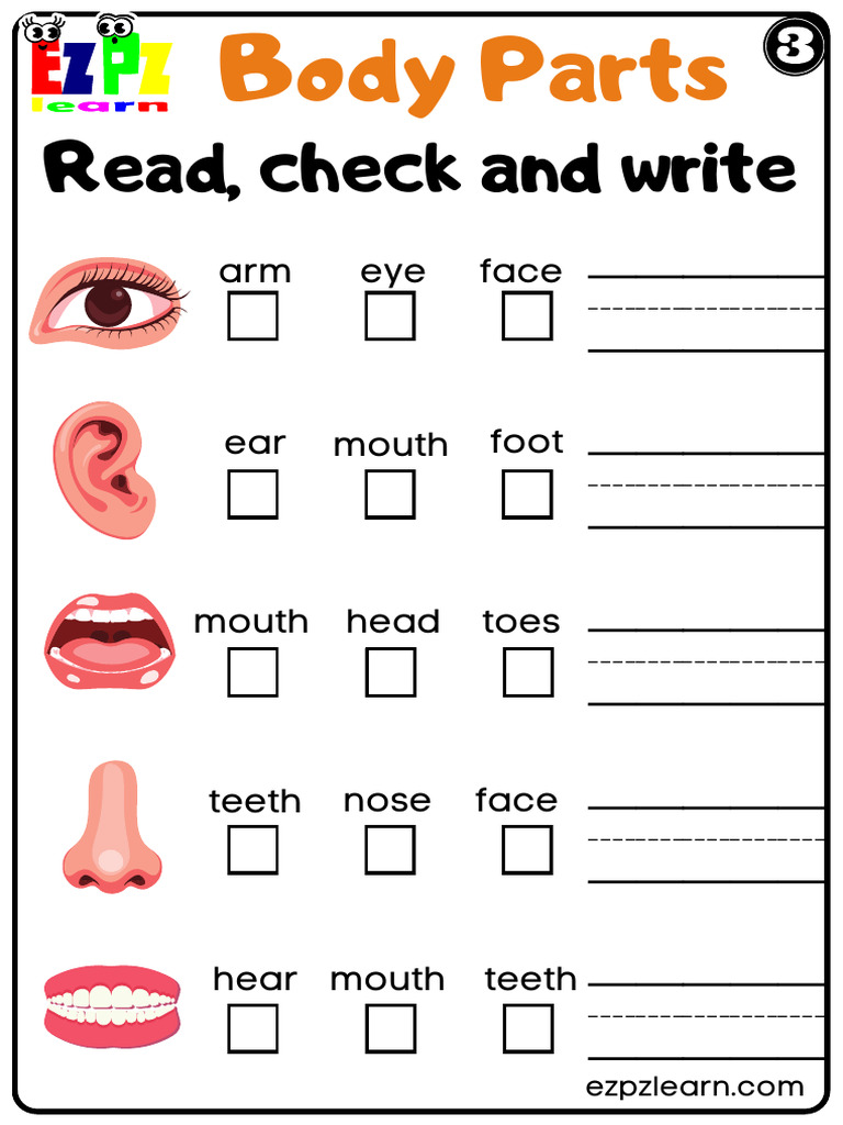 Body Parts Vocabulary Guide | PDF
