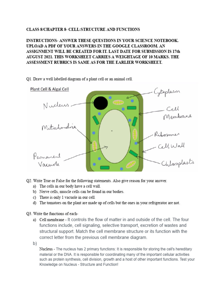 Class 8 - Chapter 8 - Cell - Structure and Functions - Yajjat Sharma ...