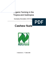 Cashew Nuts: Organic Farming in The Tropics and Subtropics