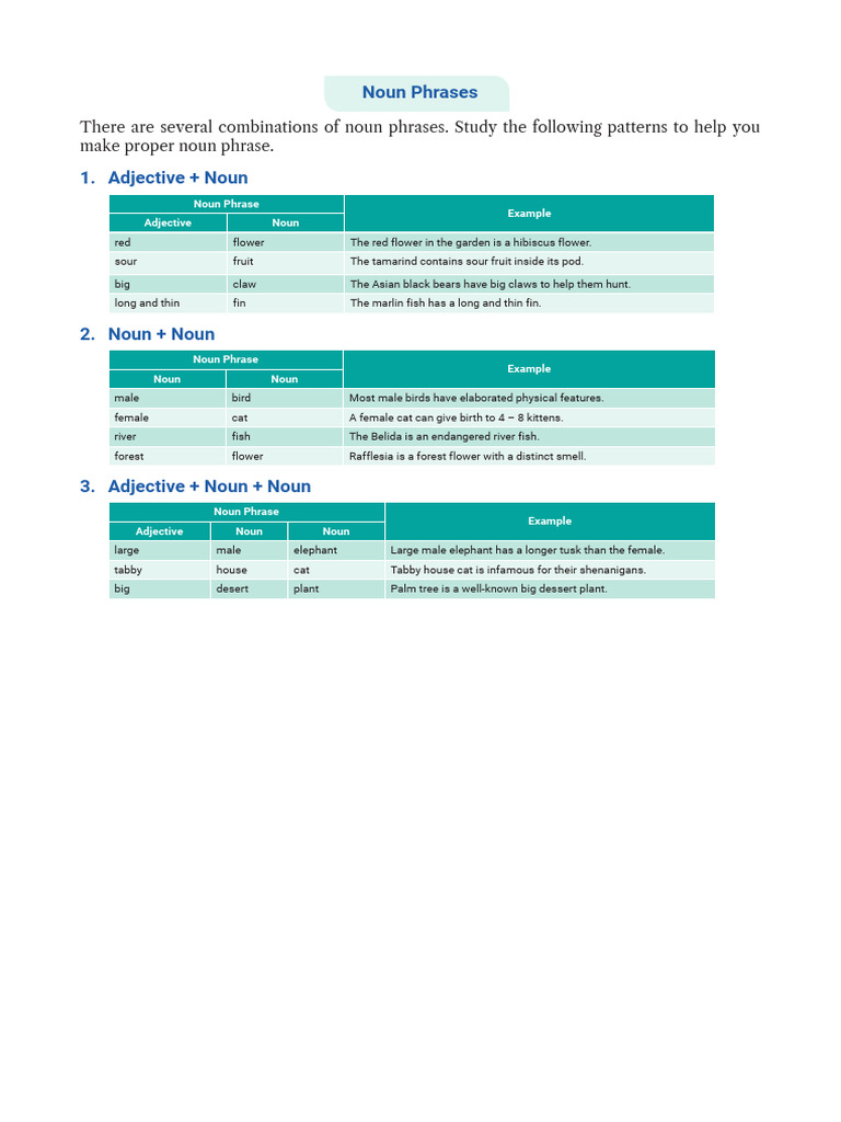 Noun Phrase Combinations Guide | PDF