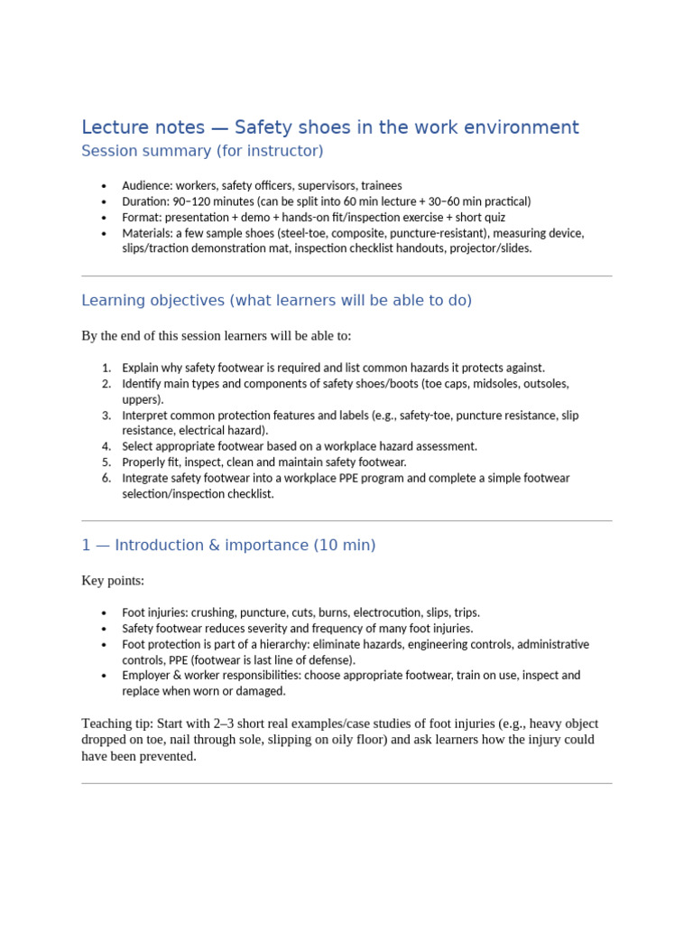 Safety Shoe Program Overview | PDF | Shoe