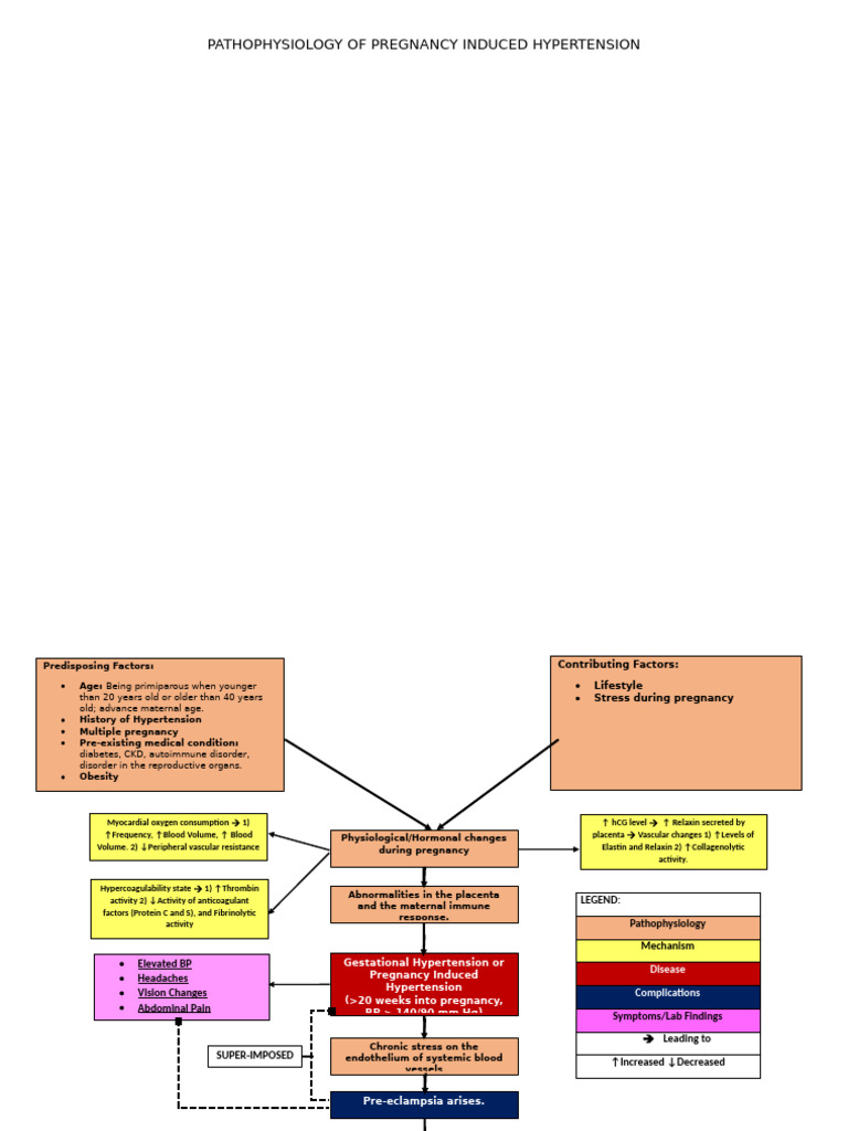 Pathophysiology of Pregnancy Induced Hypertension | PDF | Blood Vessel ...