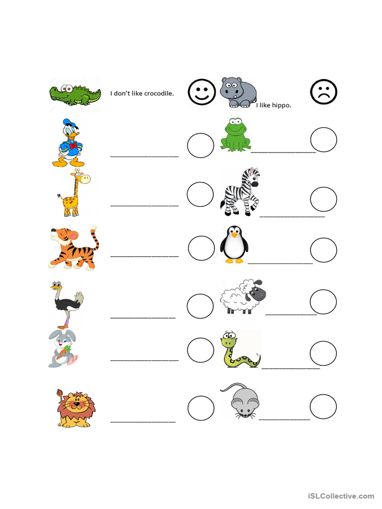 Animals Preference Worksheet | PDF