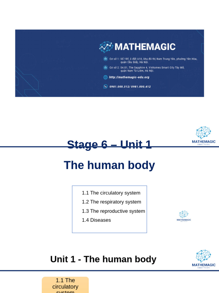 Human Body Systems Overview | PDF | Respiratory System | Breathing