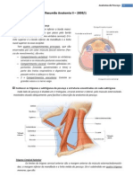 Resumo de Anatomia - Anatomia de Pescoço, Vias Aéreas Superiores e Inferiores, Aparelho Circulatório