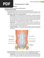Resumo de Anatomia - Parede / Cavidade Abdominal e Aparelho Digestorio