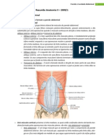 Resumo de Anatomia - Parede / Cavidade Abdominal e Aparelho Digestorio