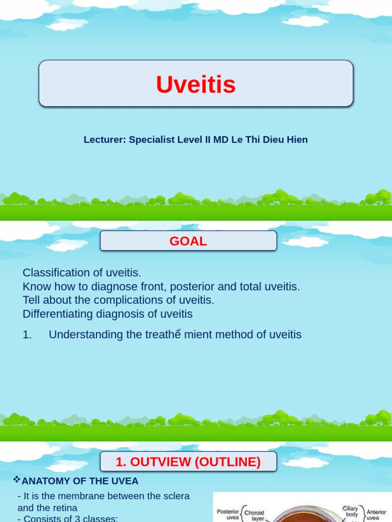 Understanding Uveitis: Diagnosis & Treatment | PDF | Vision | Human ...