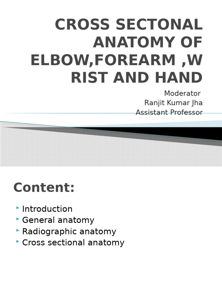 Elbow, Forearm, Wrist, and Hand Anatomy | PDF | Elbow | Thumb