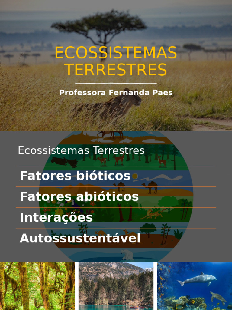 Ecossistemas Terrestres: Tipos e Características | PDF | Florestas ...