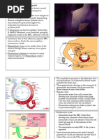 SMPC Co Arinate Adult JNa.2018.03 | PDF | Malaria | Pharmacology