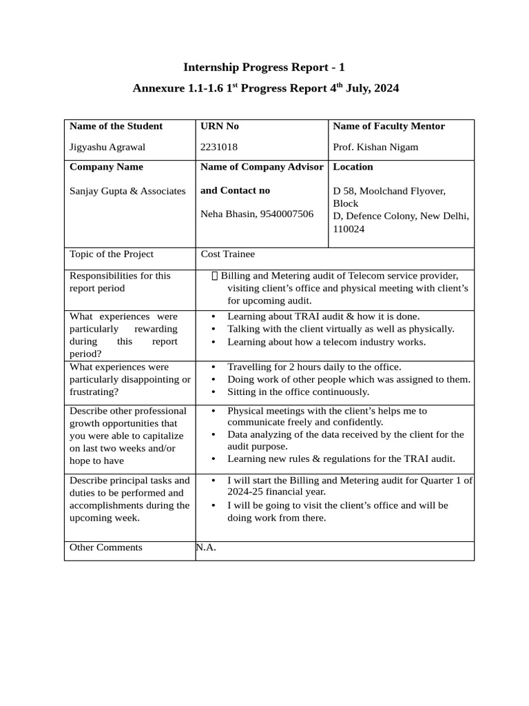 Internship Progress Report: Telecom Audit | PDF